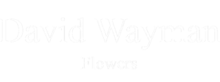 David Wayman Flowers LTD